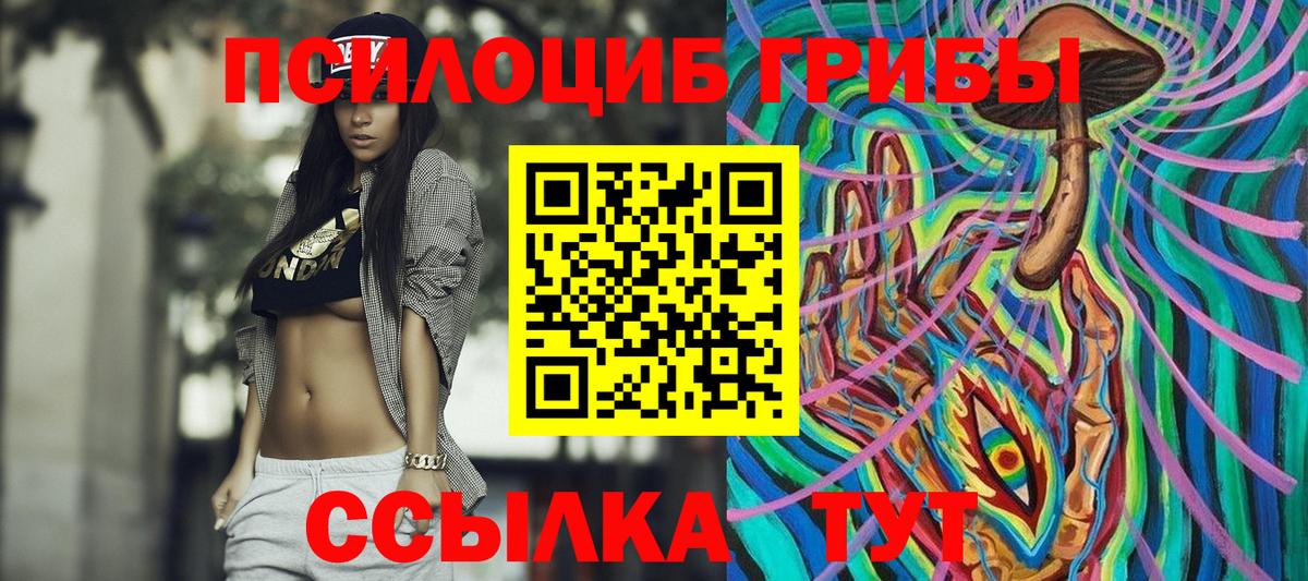 Галлюциногенные грибы Psilocybine cubensis Красный Сулин