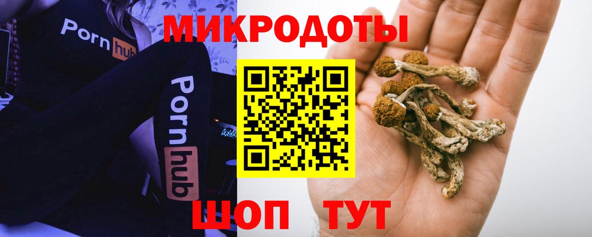 Галлюциногенные грибы Cubensis  Вход с VPN  Красный Сулин 